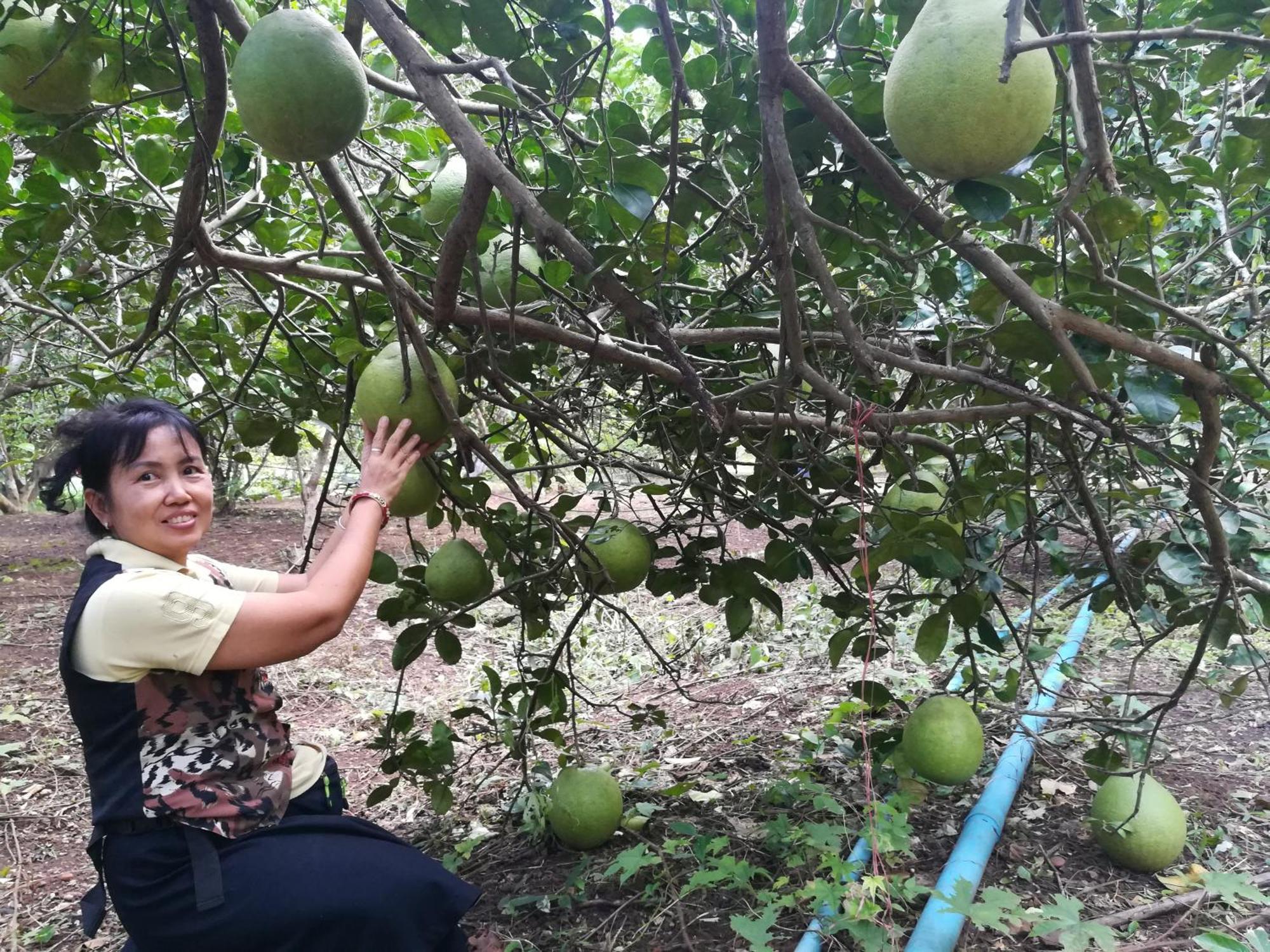 Willa Star View Garden Ban Huai Maenam Noi Zewnętrze zdjęcie