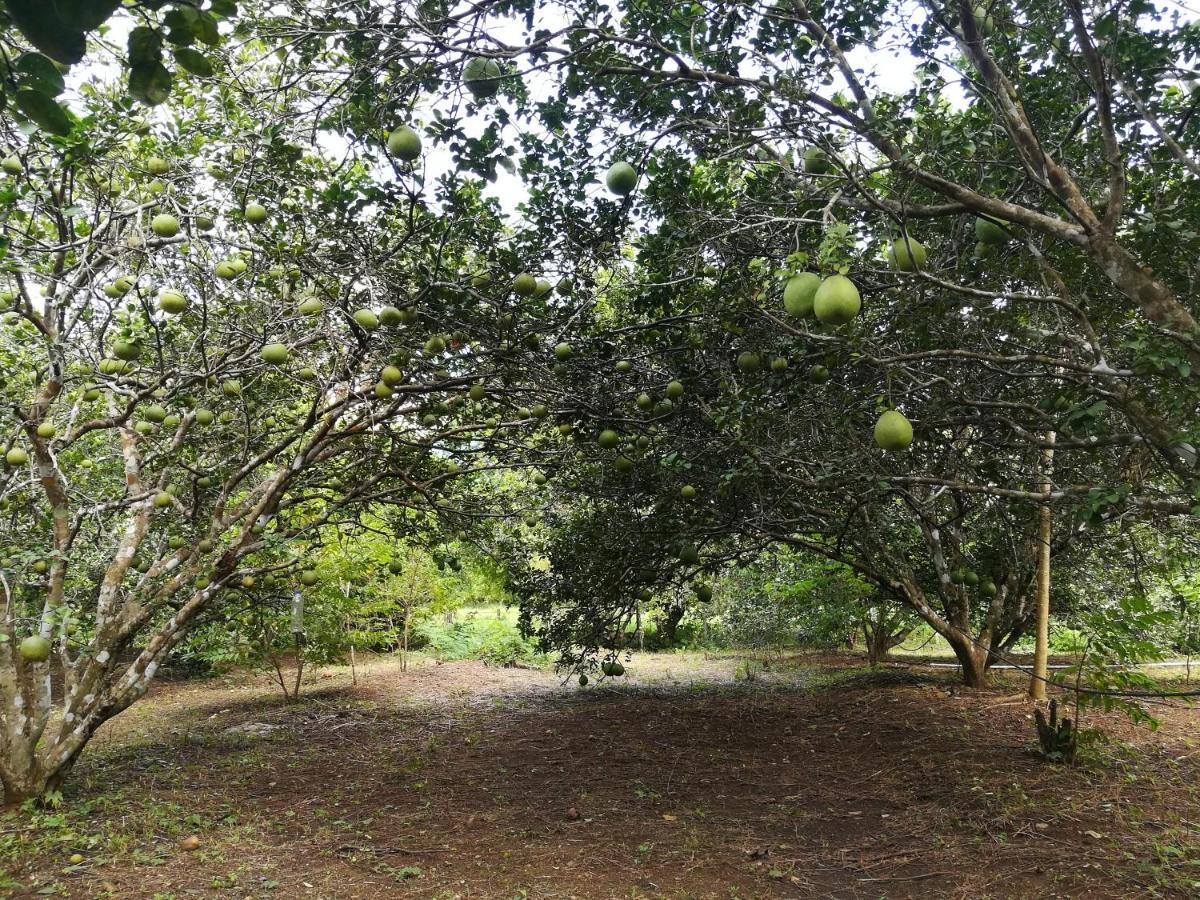 Willa Star View Garden Ban Huai Maenam Noi Zewnętrze zdjęcie
